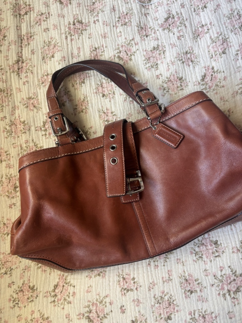 Brown Coach Everyday Bag